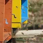 Frühstückspension Angio Nel Cere