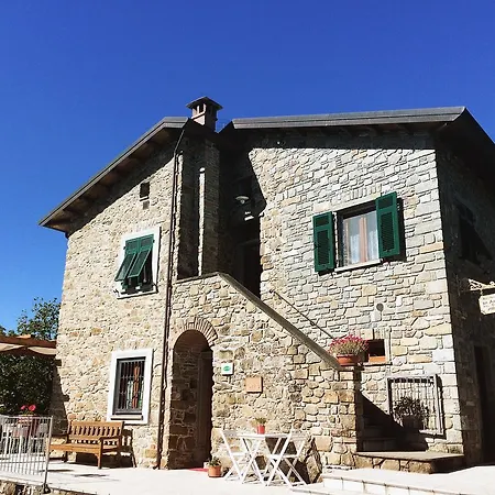 Angio Nel Cere Bracelli