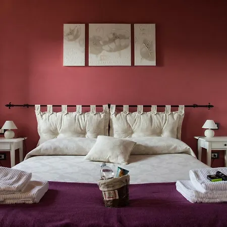 Angio Nel Cere 3* Bracelli