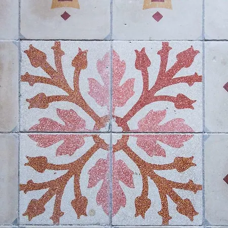 Angio Nel Cere Bracelli