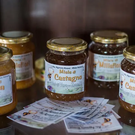 Bed & Breakfast Angio Nel Cere Bracelli