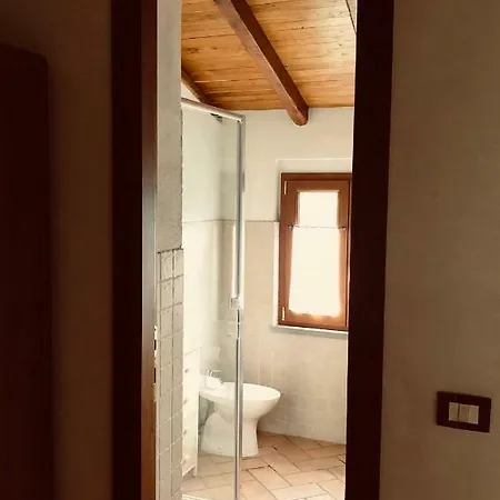 Angio Nel Cere