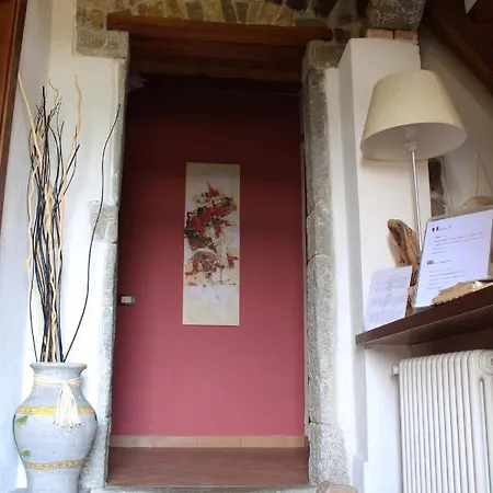 Angio Nel Cere