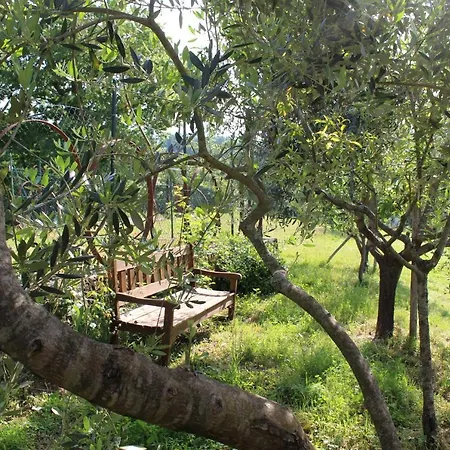 Angio Nel Cere Bed and breakfast Bracelli