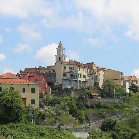 Angio Nel Cere Bracelli