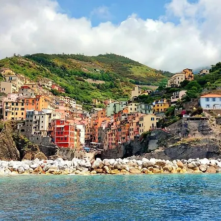 Angio Nel Cere Bracelli