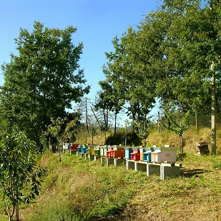 Bed and breakfast Angio Nel Cere 3*
