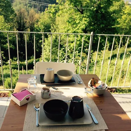 Angio Nel Cere Bracelli