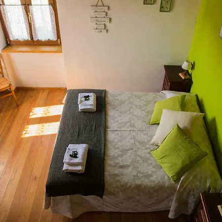 Angio Nel Cere Bracelli