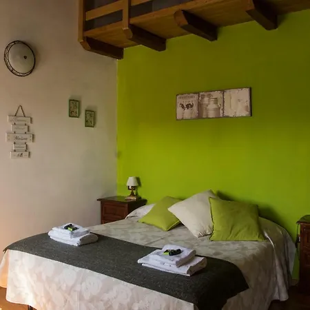 Angio Nel Cere Bracelli