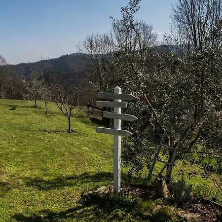 Angio Nel Cere Bed & Breakfast *