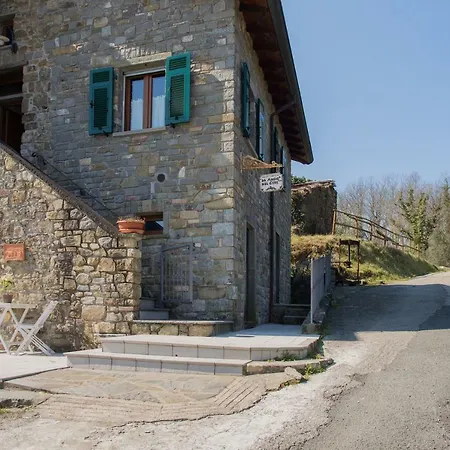 Angio Nel Cere
