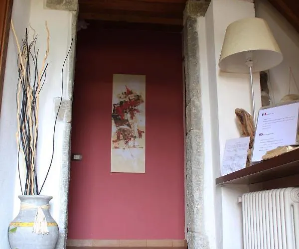 Angio Nel Cere