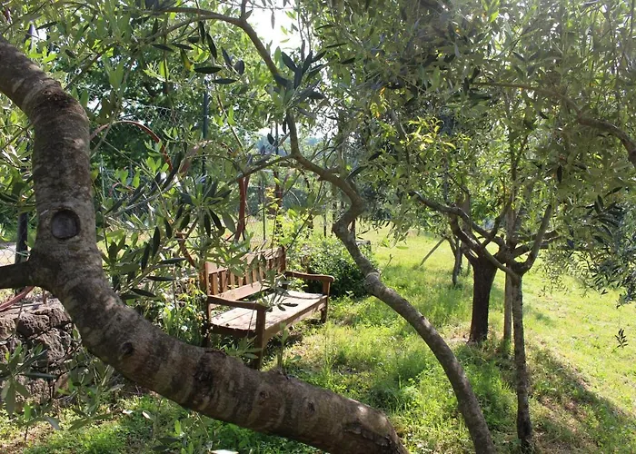 Angio Nel Cere Bed and Breakfast Bracelli