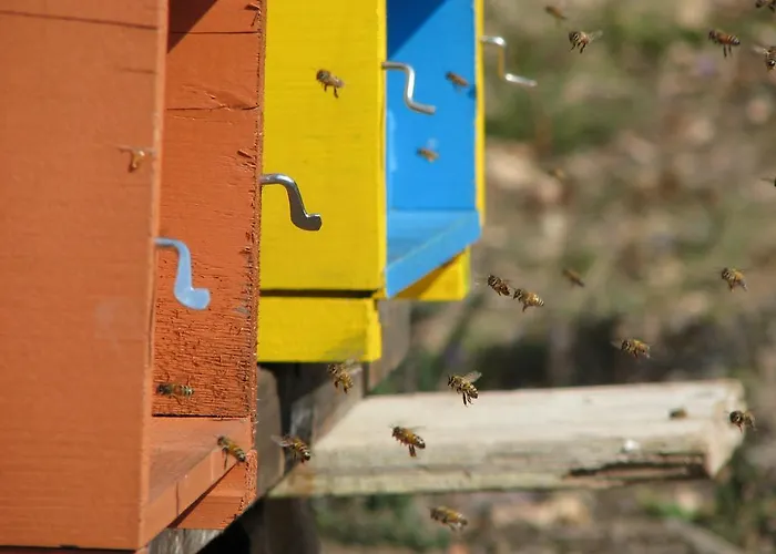 Bed & Breakfast Angio Nel Cere