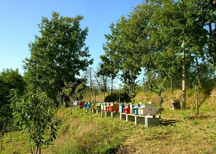 Bed & Breakfast Angio Nel Cere 3*