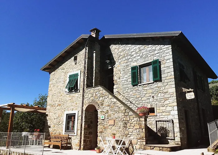 Angio Nel Cere Bracelli