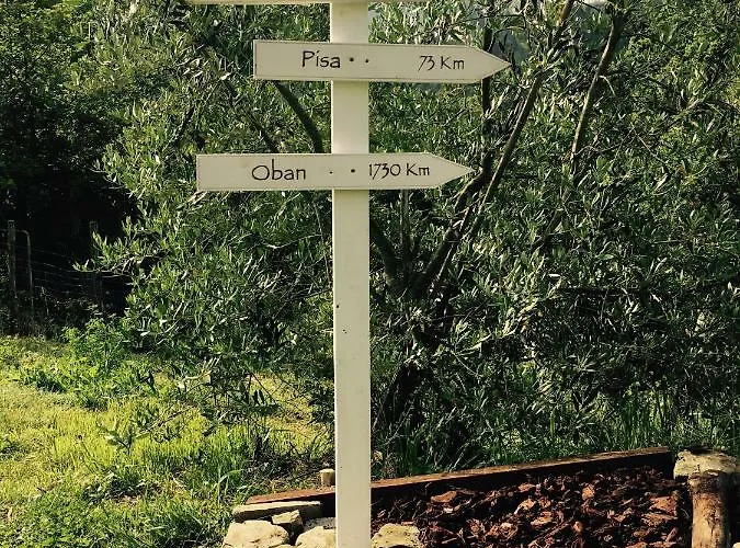 Angio Nel Cere Bed and Breakfast Bracelli