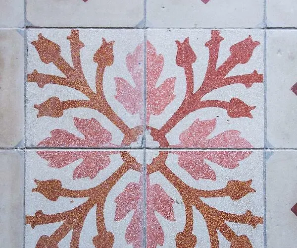 Angio Nel Cere Bracelli