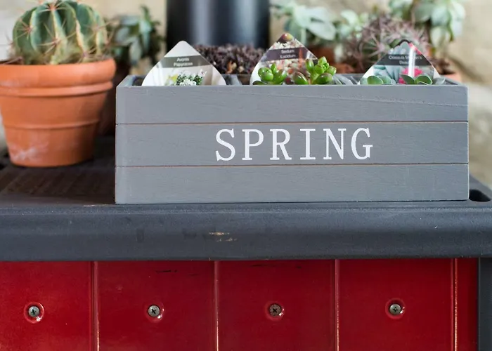 Bed & Breakfast Angio Nel Cere