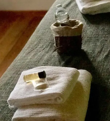 Angio Nel Cere Bracelli